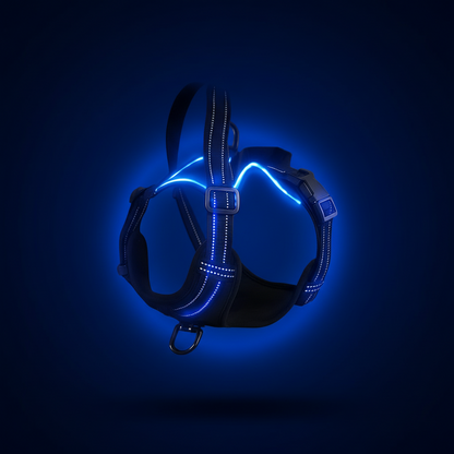 Arnés LED Pro: Máxima visibilidad nocturna